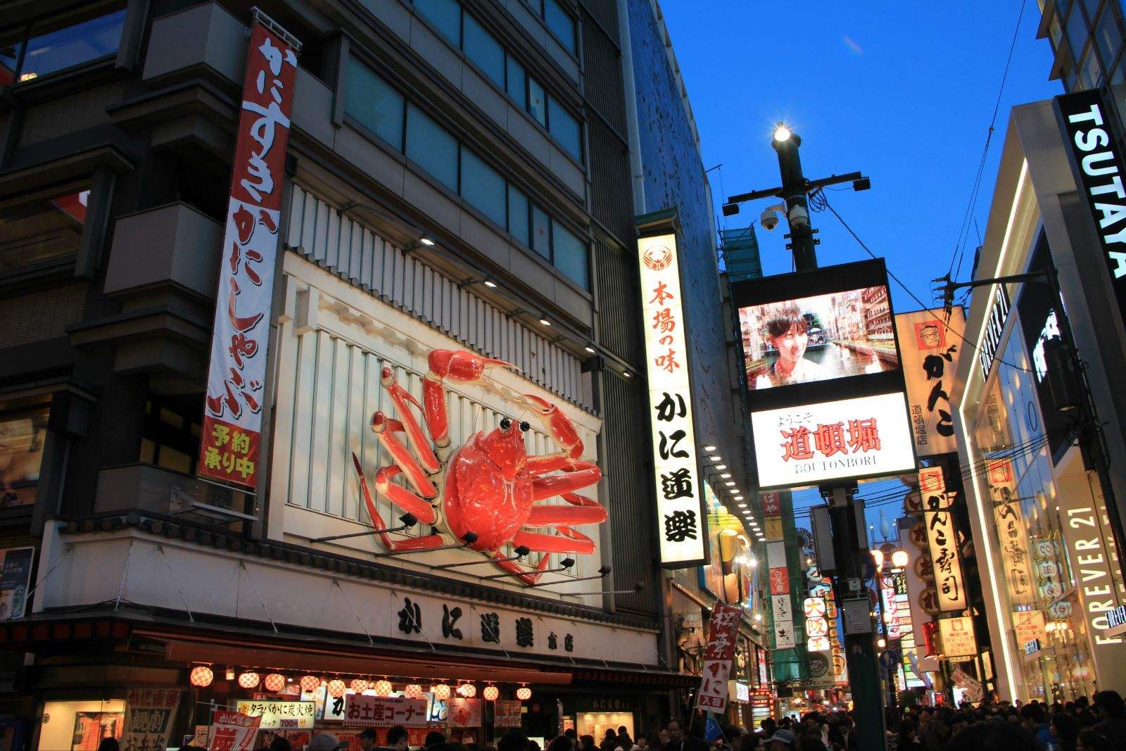 2019欧米奇考察——日本站,精彩行程来了!