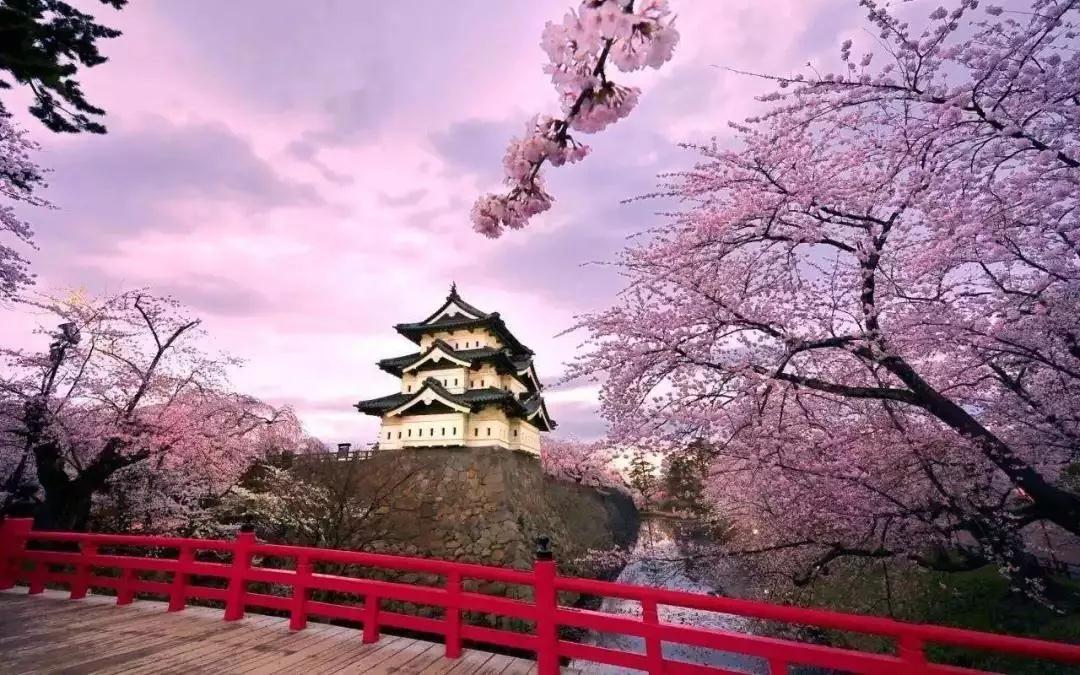 2019欧米奇考察——日本站,精彩行程来了!